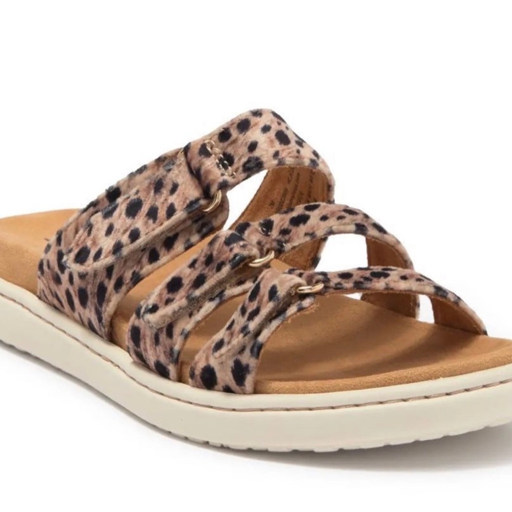Børn Daintree Sandal Animal Printed Fabric Triple Buckle 10M - Picture 4 of 7